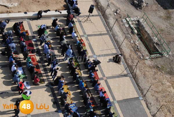 istesqa2 ramla 0201 (5).JPG